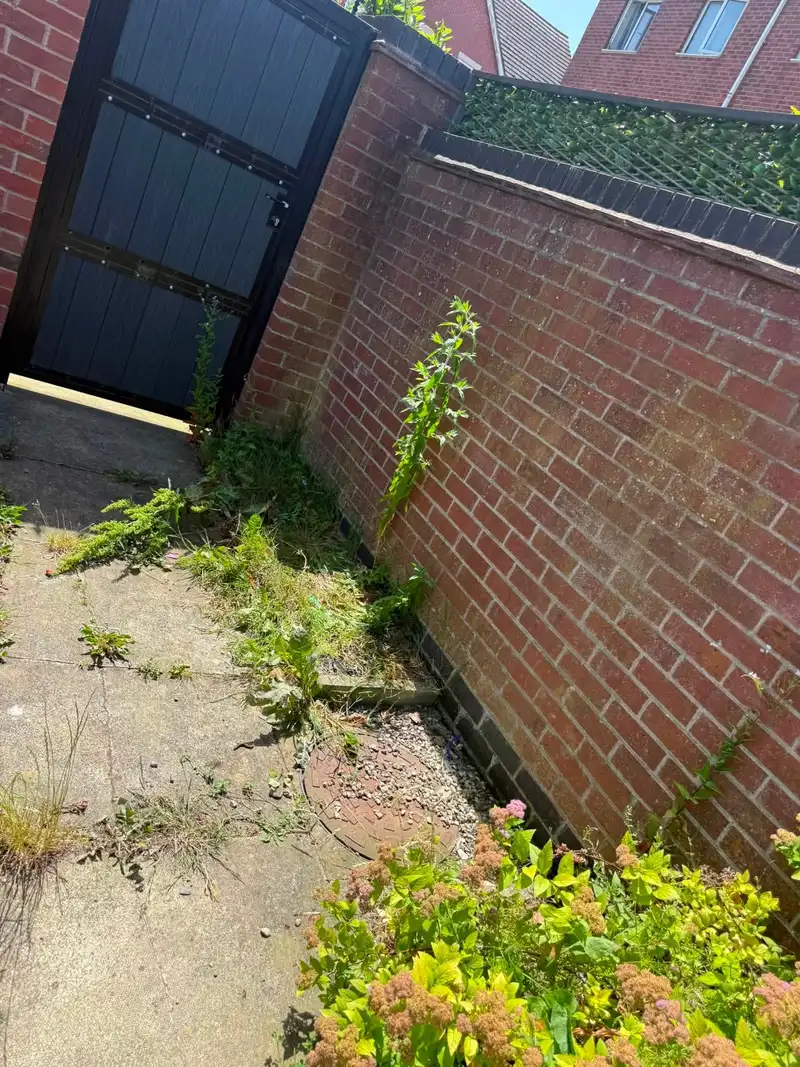 The same side alley after clearance, swept clean against the brick wall